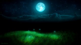 BEST SLEEP MUSIC FOR BABIES: Silent Night Song &amp; Fireflies, Put Baby to Sleep Fast, Kids Lullabies