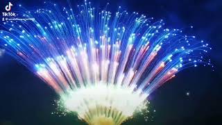 Wizard fireworks 1.3g slice cake mass production