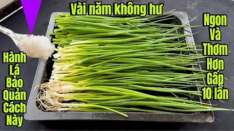 3 Mẹo Nhỏ Bảo Quản Hành Lá Cả Năm Không Hư / Mà Đặc Biệt Thơm Ngon Hơn Gấp 10 Lần Thông Thường 