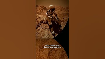 Universe & Space: How Do Astronauts Sleep In Space?: Ever wondered how astronauts catch some Z