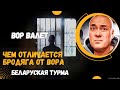 Чем отличается Вор от Бродяги