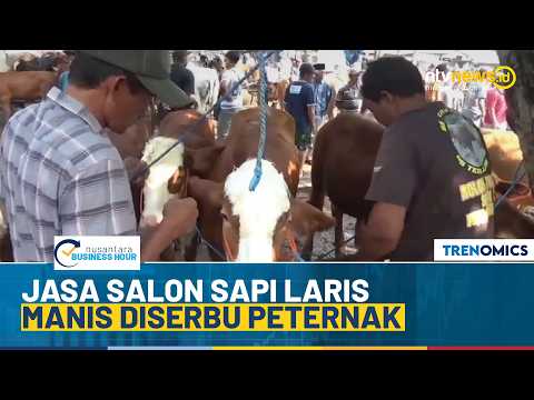 Viral! Salon Sapi di Klaten Kebanjiran Order Jelang Idul Kurban | NBH