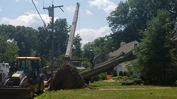 Tornadoes confirmed in Essex and Ocean counties, NJ