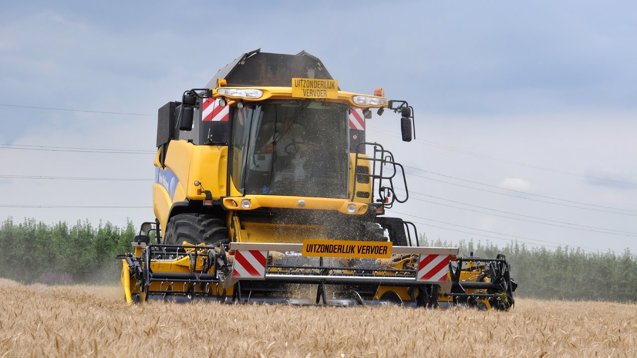 New Holland CX8050 - Peltijn Agri - tarwe dorsen
