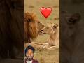 Romantic Moment... Interrupted #funny