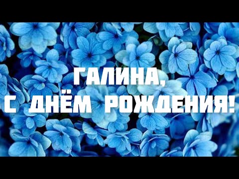 ЛУЧШЕЕ ПОЗДРАВЛЕНИЕ С ДНЁМ РОЖДЕНИЯ ДЛЯ ГАЛИНЫ 🌸 ОРИГИНАЛЬНОЕ ПОЗДРАВЛЕНИЕ 🌺 С ДНЁМ РОЖДЕНИЯ!