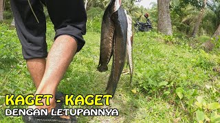 Mau Ke Laut Malah Nyasar Ke Rawa-rawa Casting Gabus  - Ultralight Fishing