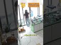 Đang ngủ bị gọi ua xoài