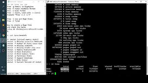 How to check the System Information about Memory usage on Linux ?