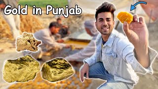 Punjab Ka Real Gold Mil Gia 😍 | Gur ki Making Ny Heraan Kar Dia 😱