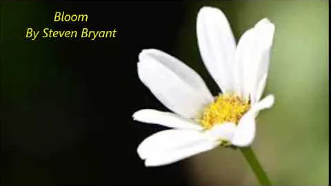 Bloom; By Steven Bryant