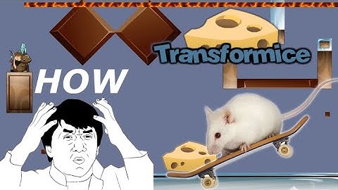 7 maps - Records - Transformice