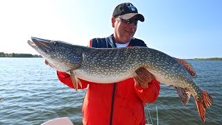 World's Best Pike Spoon! 