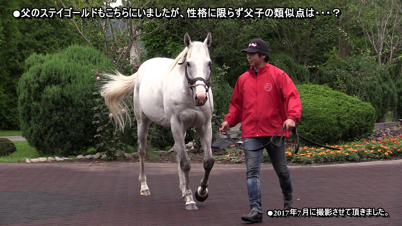 7 小木曽なつ美の馬活 ビッグレッドファーム 17年撮影 Youtube