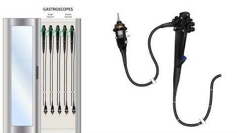 Endoscopy Technology Theory-Lesson 2-Types of Endoscopes
