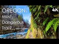 Hiking eagle creek from first to last waterfall  no talk no music just nature  4k virtual hike