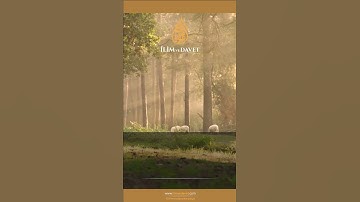 Tâhâ Suresi 13-15 | سورة طه ١٥ -١٣ | Surah Ṭā Hā 13 | Short Quran | Kuranı Kerim | القرآن | Коран