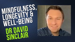Dr David Sinclair on Mindfulness, Longevity, and Well-Being