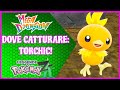 🔥DOVE CATTURARE TORCHIC in LEGGENDE POKéMON Z-A - MEGADIMENSIONE! [Guida]