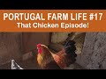 That CHICKEN Episode | Portugal Farm Life 2-17