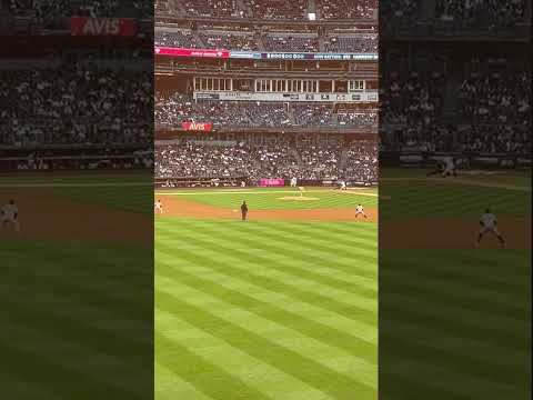 Squirrel runs onto field at Yankee Stadium during game against Baltimore Orioles