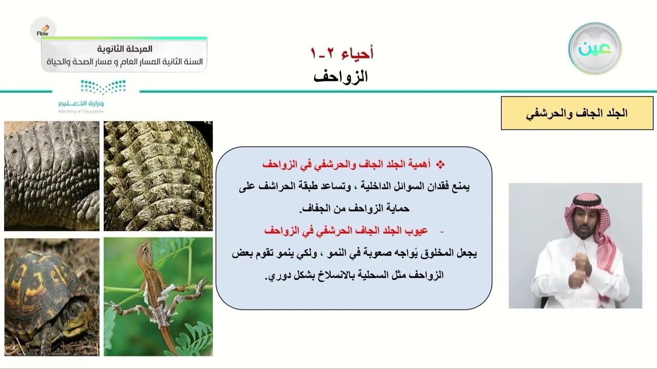 الزواحف - الأحياء (2-1) - المسار العام والصحة والحياة - السنة الثانية - الفصل الدراسي الأول