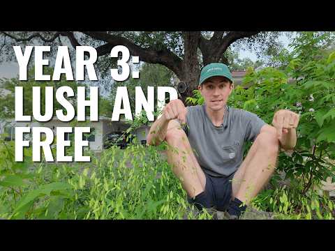 Texas Native Garden Tour — Year 3 Changes Everything (Spring)