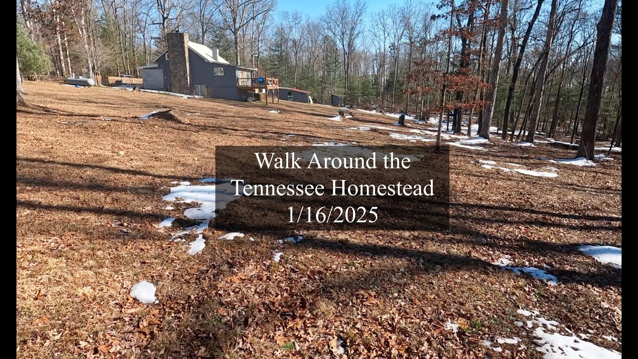 Walk Around Tennessee Homestead    