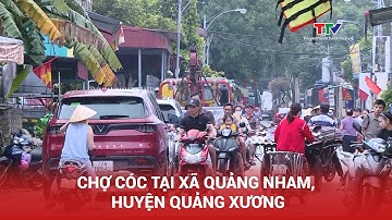 Chợ cóc tại xã Quảng Nham, huyện Quảng Xương tiềm ẩn nguy cơ mất an toàn giao thông | NSTH