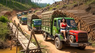 Download Lagu UseTrucks to Transport 1000+ Giant Bamboo Trees to Rebuild Bridge After a Major Flood MP3