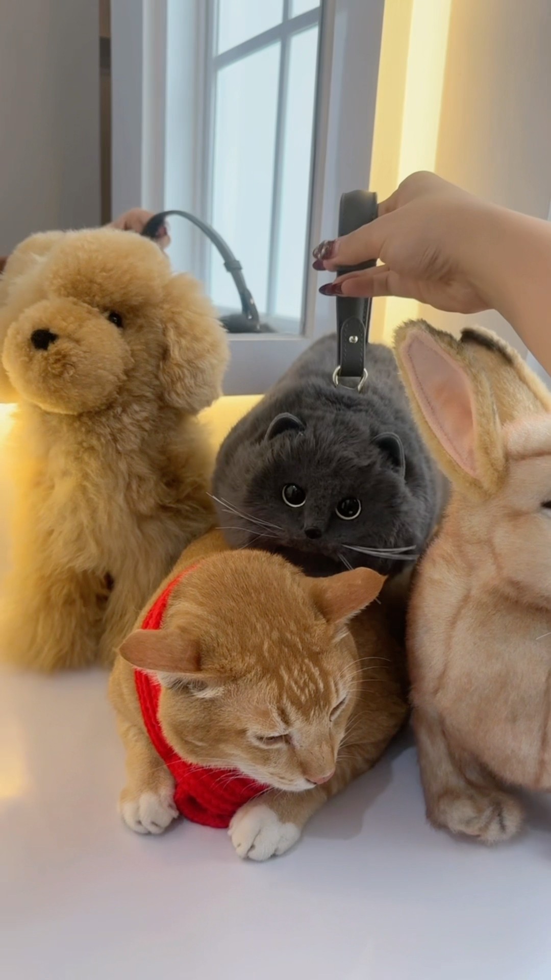 REAL OR FAKE?? KUCING BONEKA SIH INI FIX ? | Klara Tania #shorts