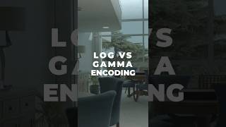 Log Vs Gamma: Picture Profiles