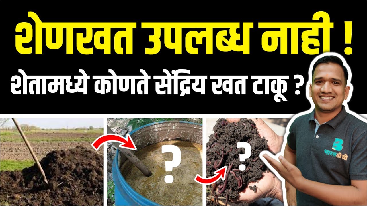 शेणखत उपलब्ध नाही ! शेतामध्ये कोणते सेंद्रिय खत टाकू ?