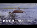 Поздравление с Днем Рождения №2! ВИДЕО НА ЗАКАЗ!