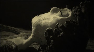 M I C E // Zertarako iraun