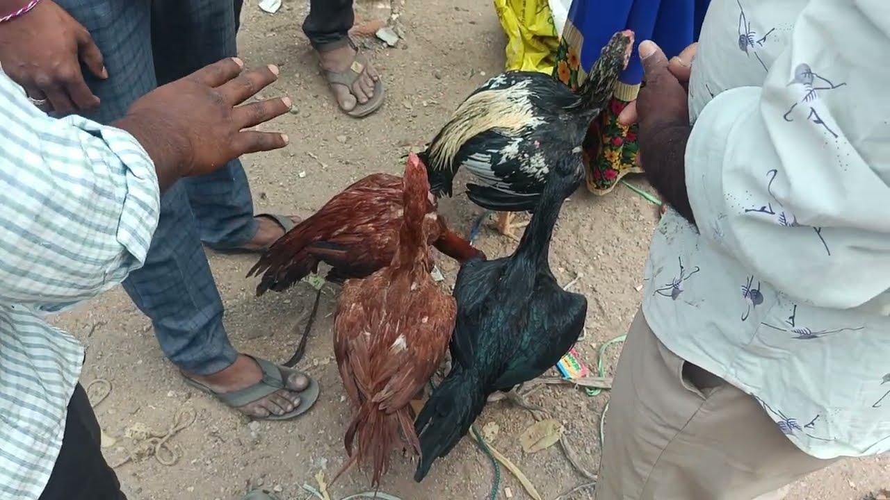 Erragadda sunday market