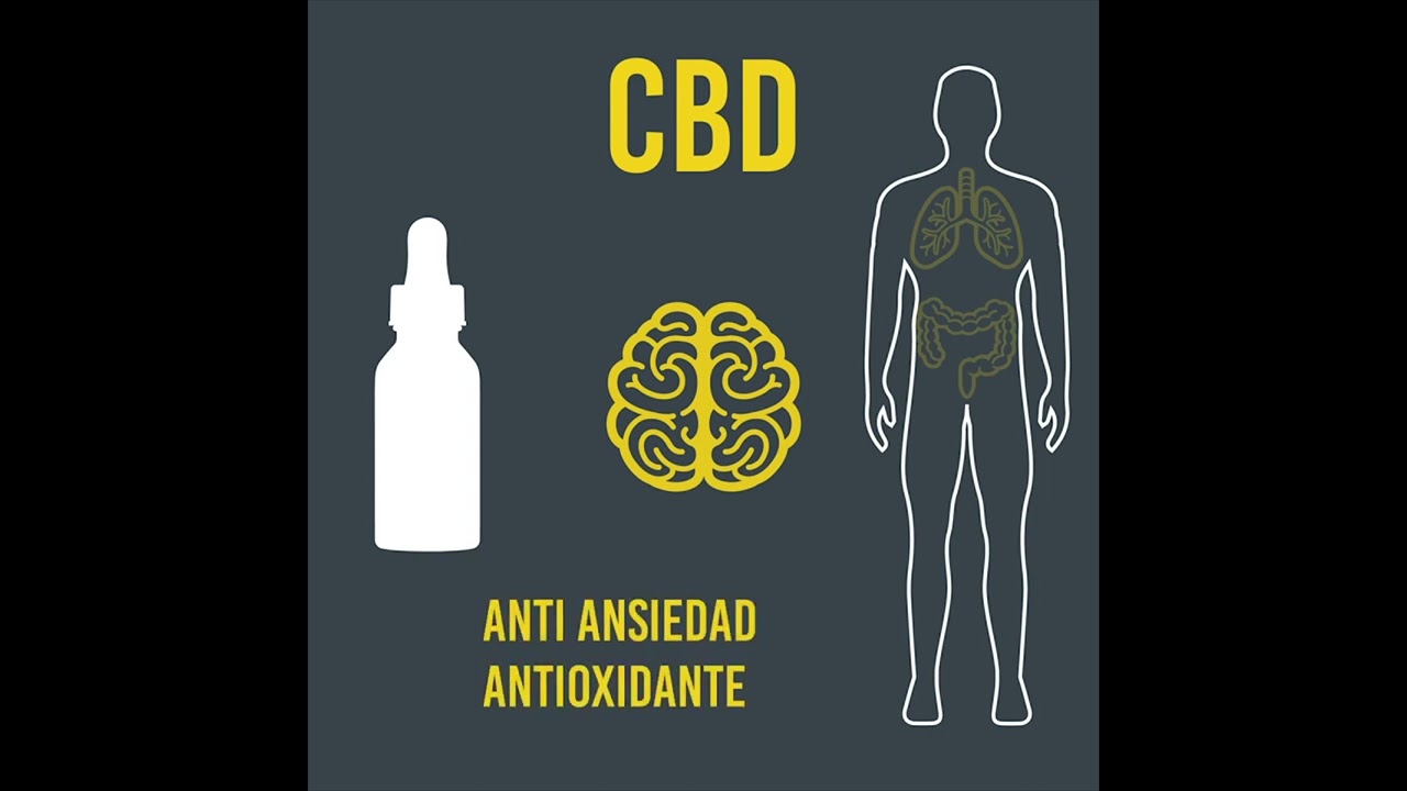 Donde comprar aceite de marihuanas CBD en Mexico | Gotas de CBD cannabis medicinal