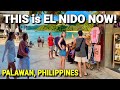THIS is EL NIDO PHILIPPINES NOW! 🇵🇭 World’s Unmatched Island Paradise - Palawan Tour 2026
