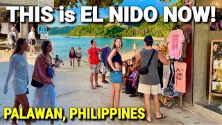 THIS is EL NIDO PHILIPPINES NOW! 🇵🇭 World’s Unmatched Island Paradise - Palawan Tour 2026