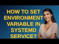 How to set environment variable in systemd service?