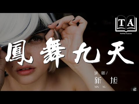 鳳舞九天 - 新旭『Questo amore senza limite』【動態歌詞Lyrics】