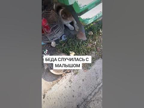 Беда - YouTube