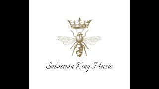 DIAMOND BROWN SOLDIER (OFFICIAL MUSIC VIDEO) TRIBUTE SABASTIAN KING