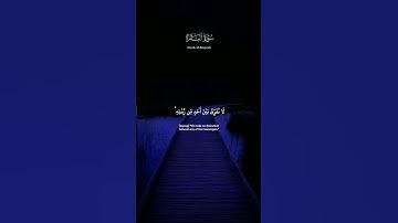 آمَنَ الرَّسُولُ بِمَا أُنزِلَ إِلَيْهِ مِن رَّبِّهِ |تلاوة جميلة الشيخ عبد الباسط سورة البقرة#قرآن