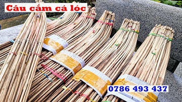Bán Cần Câu Cắm Cá Lóc, tre gai đã qua xử lý, lưỡi ó số 6