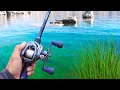 Catching GIANT Bass in Ultra CLEAR Lake (Jon Boat Fishing)