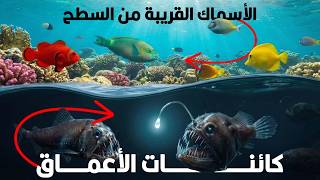 ليه المخلوقات البحرية بتبقى أغرب بكتير كل ما ننزل للأعماق؟