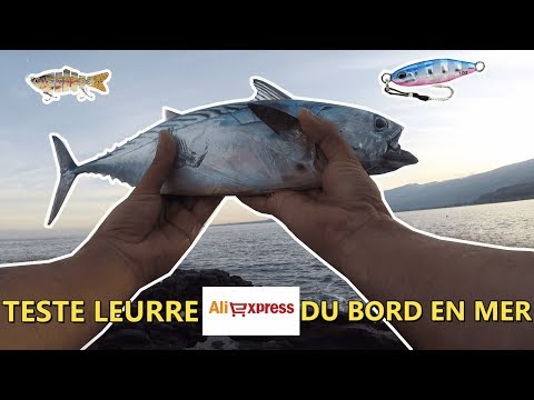 Miniature de la vidéo : TESTE LEURRE ALIEXPRESS DU BORD EN MER / ILE DE LA REUNION