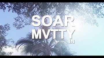 Introducing SoaR Mvtty!