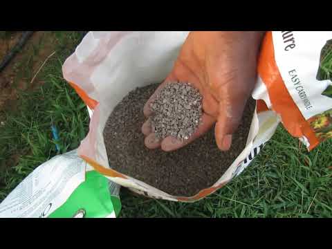 Video: Fertilizing humle plants - information on humle Fertilizer Requirements